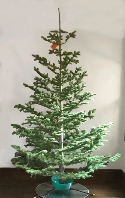 Silver Tip Christmas Tree